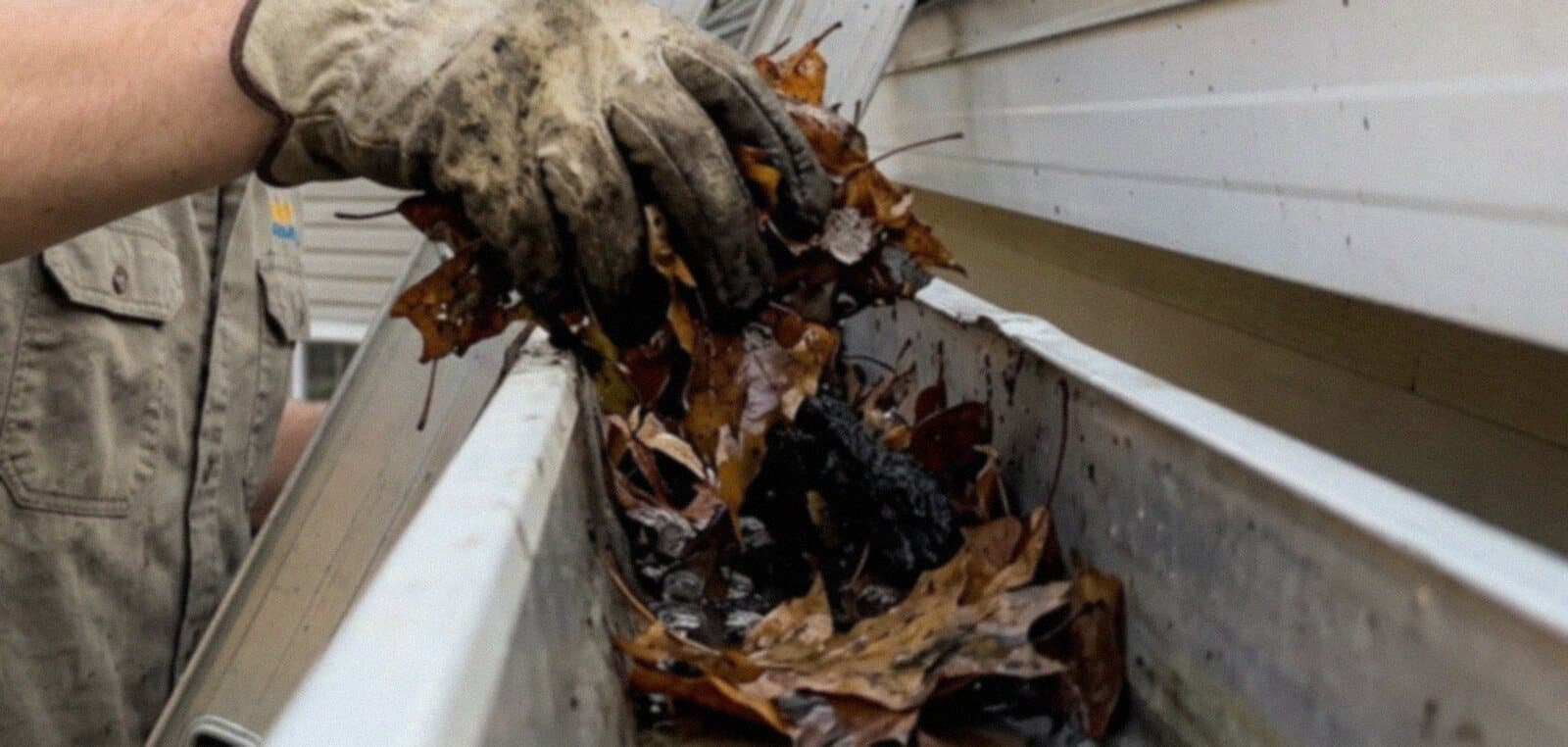 Gutter Cleaning in the Twin Cities